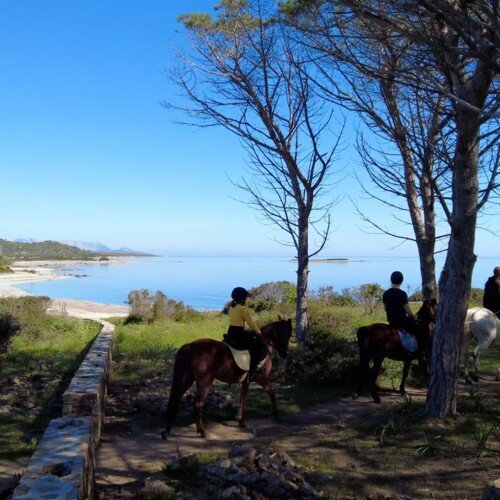 An hour horseback riding 